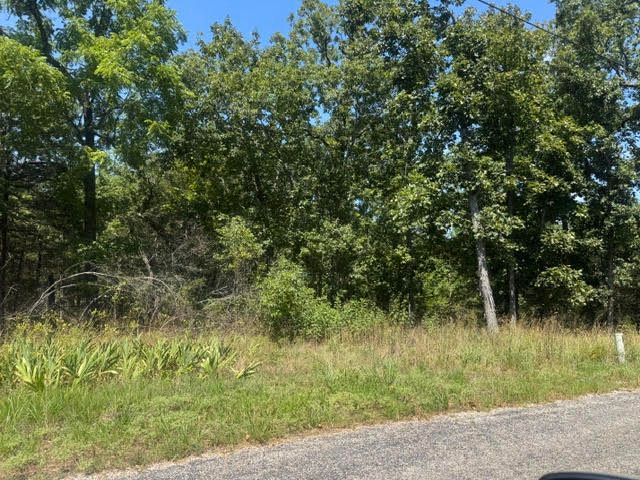 1 Azure Lane, Holiday Island, AR 72631