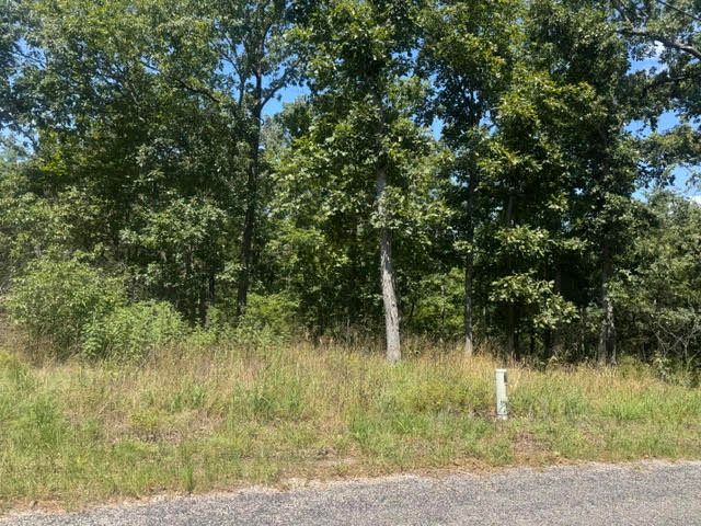 1 Azure Lane, Holiday Island, AR 72631