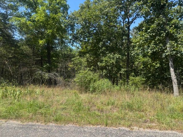 1 Azure Lane, Holiday Island, AR 72631
