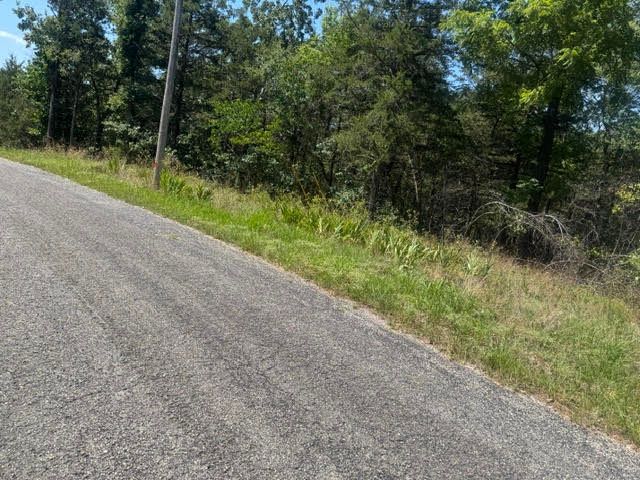 1 Azure Lane, Holiday Island, AR 72631