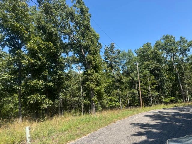 1 Azure Lane, Holiday Island, AR 72631