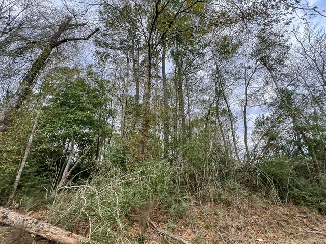 T-5 Cr 4590, Spurger, TX 77660