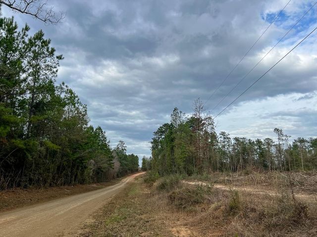 T-5 Cr 4590, Spurger, TX 77660