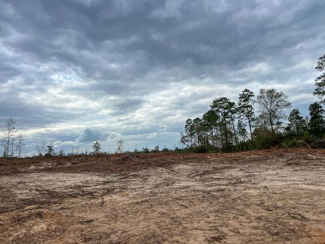 T-5 Cr 4590, Spurger, TX 77660