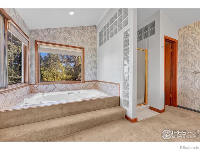 5953 Angie Court, Parker, CO 80134