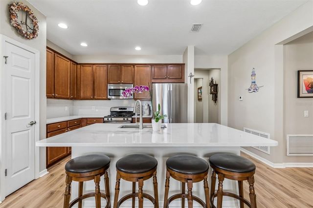 19110 SUNSET BAY DRIVE, Land O Lakes, FL 34638