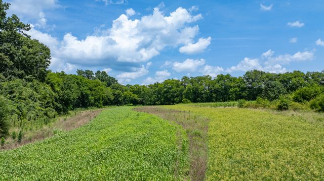 498 Rattlesnake Lodge Rd, Shelbyville, TN 37160