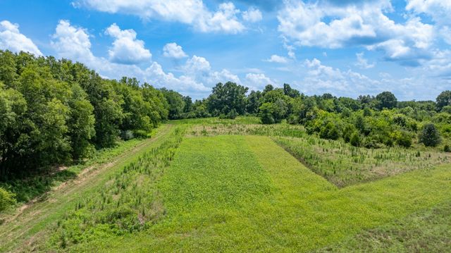 498 Rattlesnake Lodge Rd, Shelbyville, TN 37160