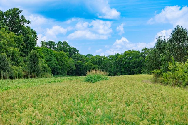 498 Rattlesnake Lodge Rd, Shelbyville, TN 37160