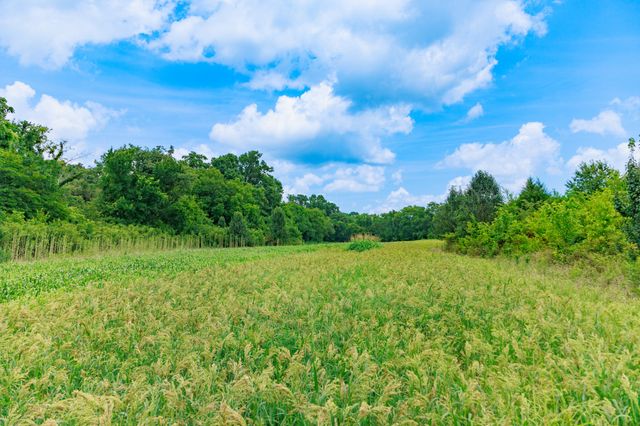 498 Rattlesnake Lodge Rd, Shelbyville, TN 37160