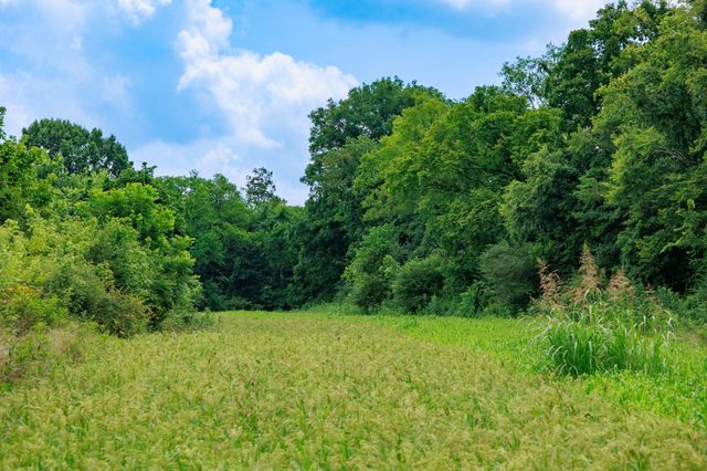498 Rattlesnake Lodge Rd, Shelbyville, TN 37160
