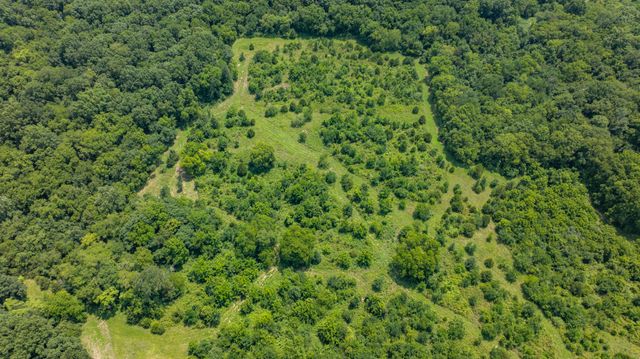 498 Rattlesnake Lodge Rd, Shelbyville, TN 37160