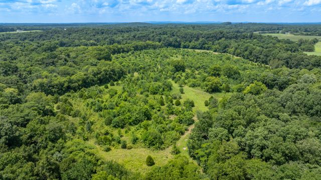 498 Rattlesnake Lodge Rd, Shelbyville, TN 37160