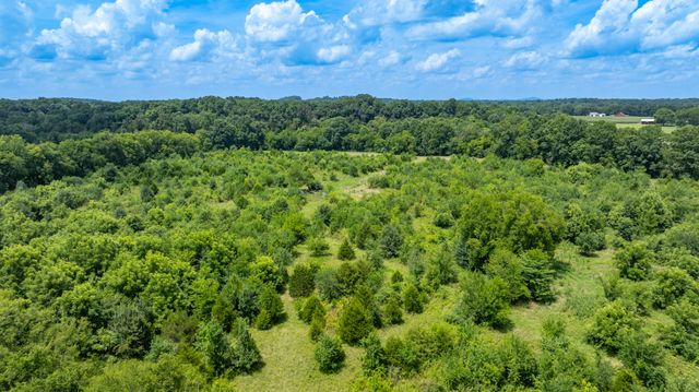 498 Rattlesnake Lodge Rd, Shelbyville, TN 37160