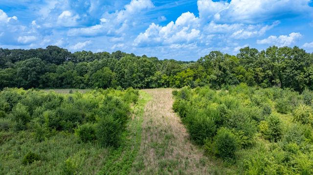 498 Rattlesnake Lodge Rd, Shelbyville, TN 37160