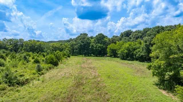 498 Rattlesnake Lodge Rd, Shelbyville, TN 37160