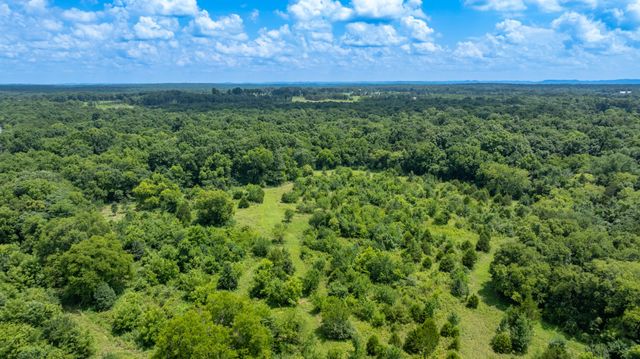 498 Rattlesnake Lodge Rd, Shelbyville, TN 37160