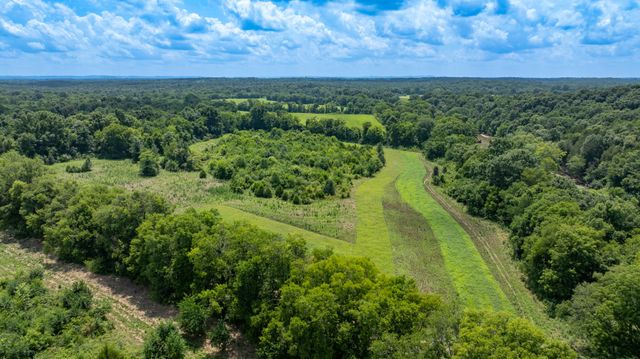498 Rattlesnake Lodge Rd, Shelbyville, TN 37160