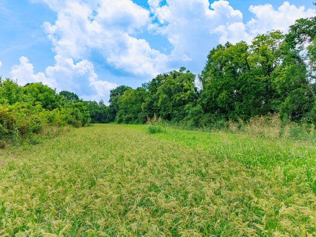 498 Rattlesnake Lodge Rd, Shelbyville, TN 37160