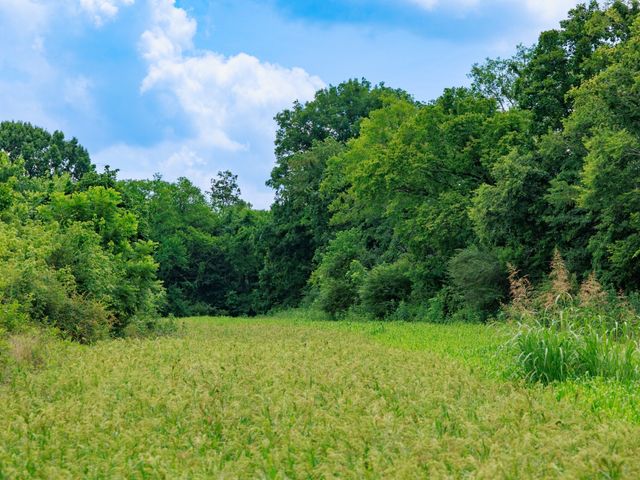 498 Rattlesnake Lodge Rd, Shelbyville, TN 37160