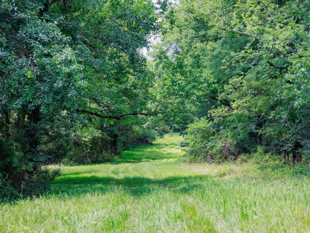 498 Rattlesnake Lodge Rd, Shelbyville, TN 37160