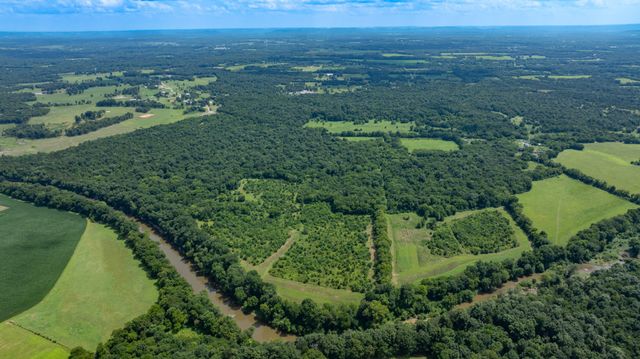 498 Rattlesnake Lodge Rd, Shelbyville, TN 37160