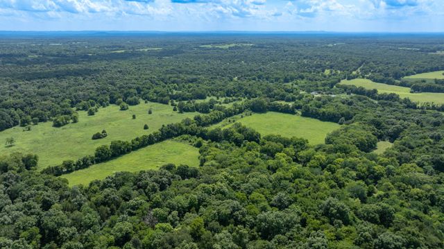 498 Rattlesnake Lodge Rd, Shelbyville, TN 37160