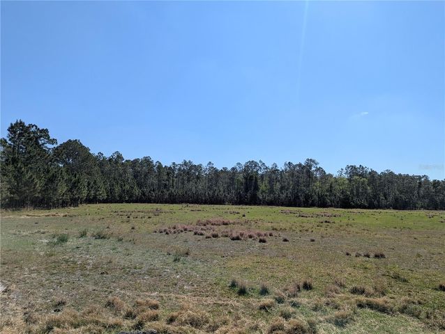 DEEN STILL ROAD E, Polk City, FL 33868