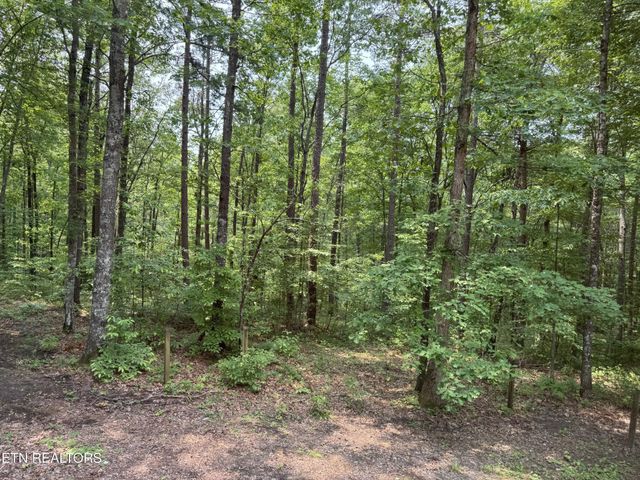 360 Joe Barnett Rd, Jamestown, TN 38556