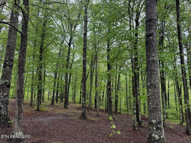 360 Joe Barnett Rd, Jamestown, TN 38556