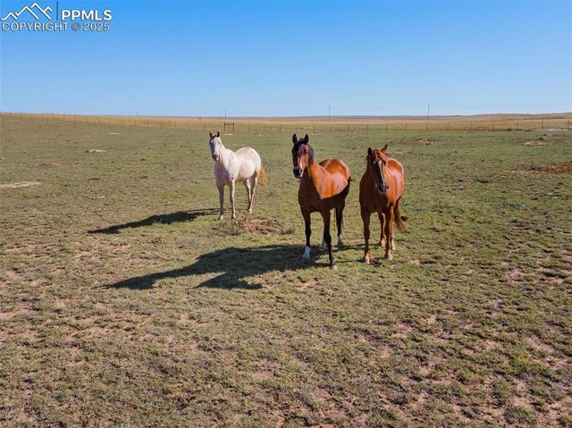 2690 E Ellicott Road, Calhan, CO 80808