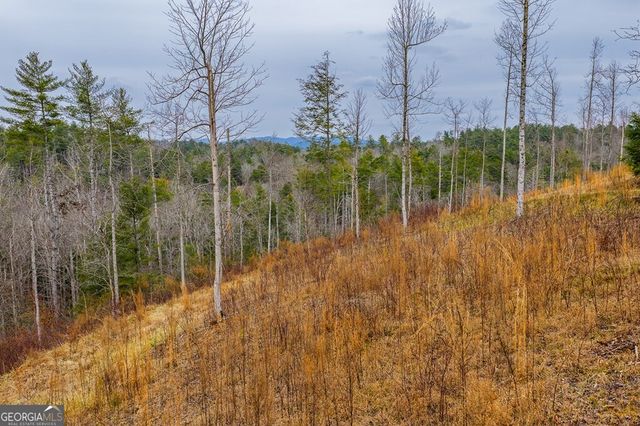 TRACT A Hicks Ford Road, Ellijay, GA 30540