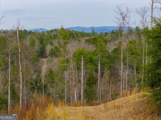 TRACT A Hicks Ford Road, Ellijay, GA 30540