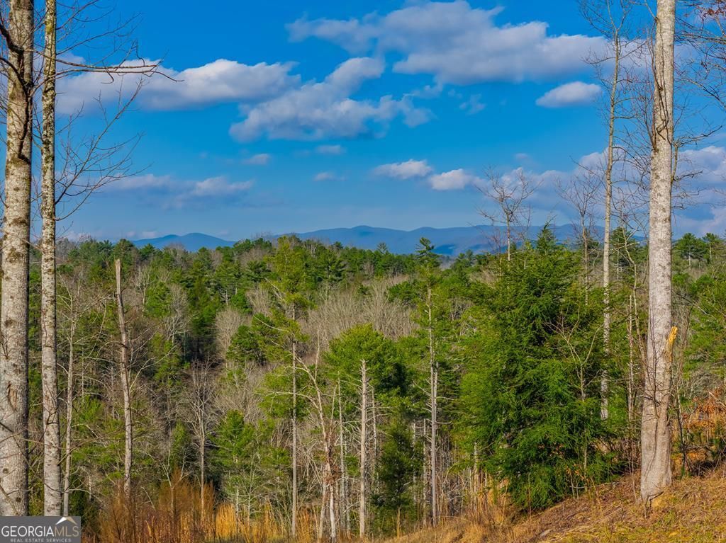TRACT A Hicks Ford Road, Ellijay, GA 30540