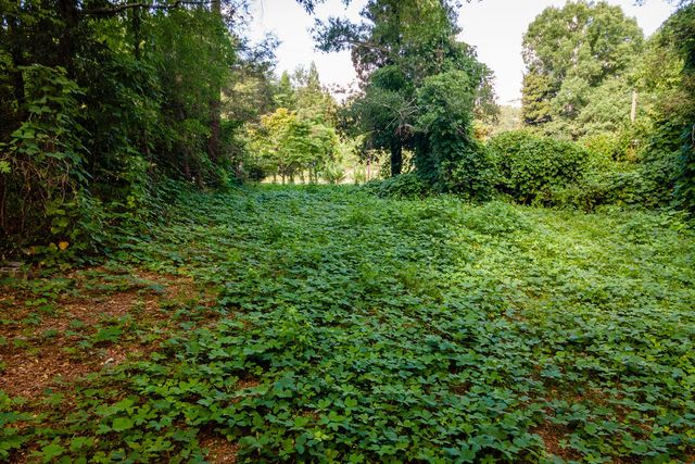 585 Mountain Road, Westminster, SC 29693