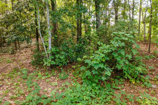 585 Mountain Road, Westminster, SC 29693
