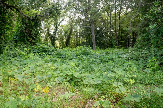 585 Mountain Road, Westminster, SC 29693