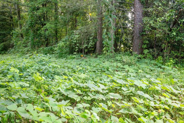 585 Mountain Road, Westminster, SC 29693