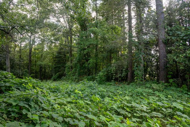 585 Mountain Road, Westminster, SC 29693
