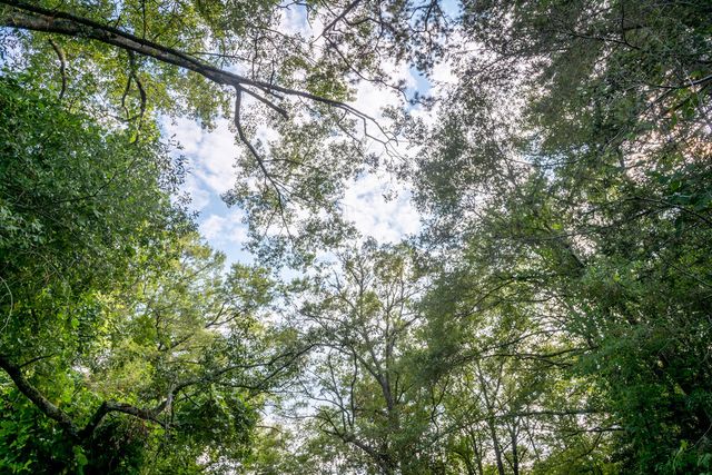 585 Mountain Road, Westminster, SC 29693