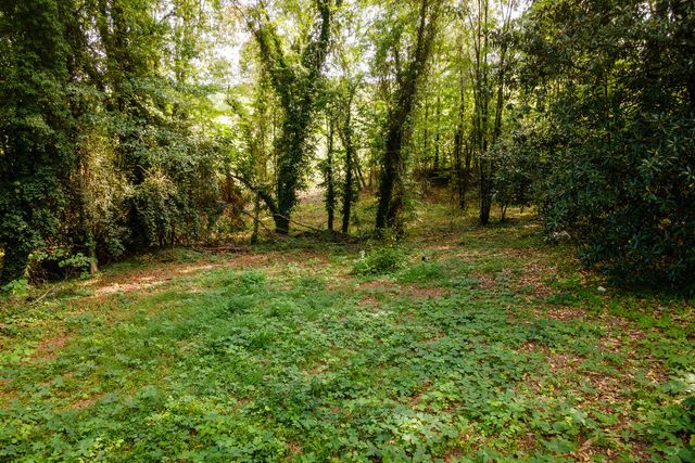 585 Mountain Road, Westminster, SC 29693