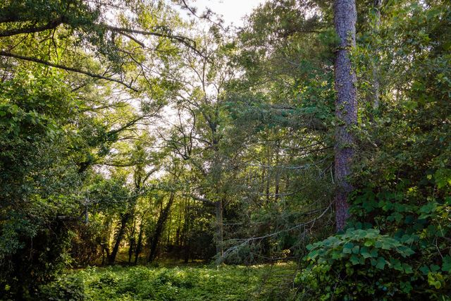 585 Mountain Road, Westminster, SC 29693