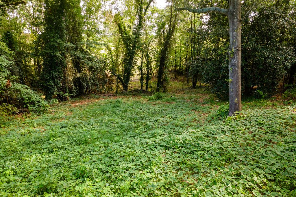 585 Mountain Road, Westminster, SC 29693