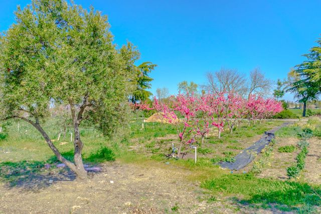 2248 Cannery Loop, Davis, CA 95616