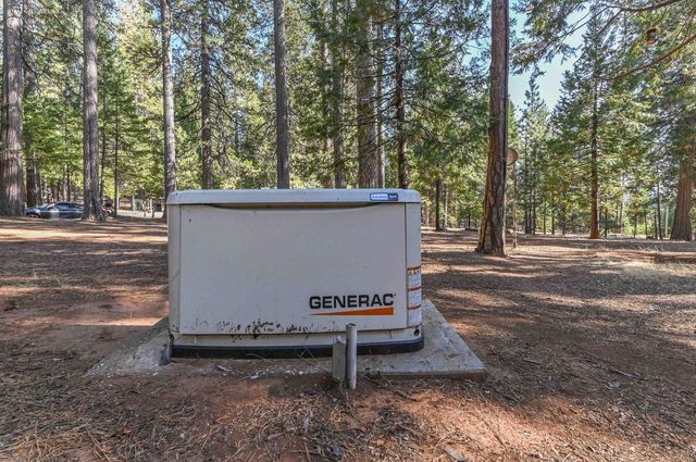 20175 Pine Dr, Pioneer, CA 95666