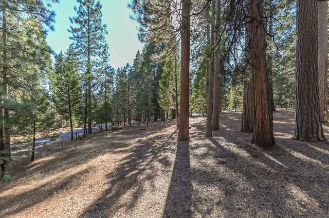 20175 Pine Dr, Pioneer, CA 95666