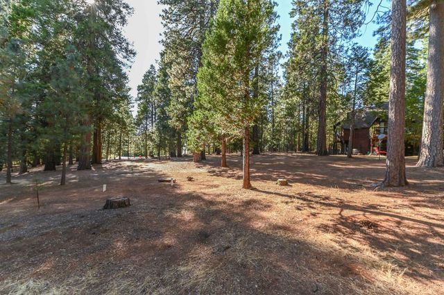 20175 Pine Dr, Pioneer, CA 95666