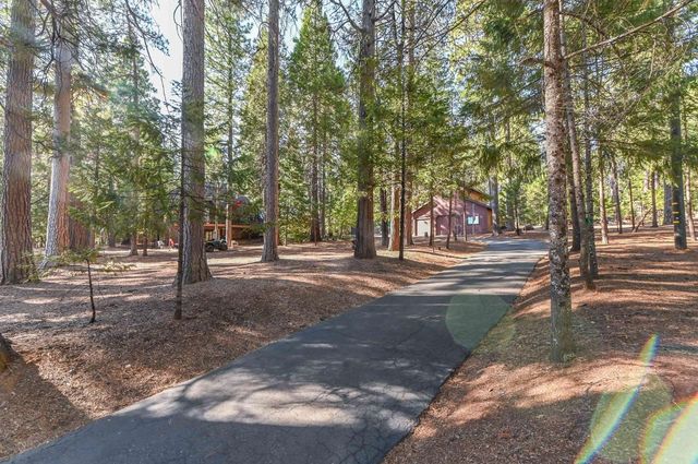 20175 Pine Dr, Pioneer, CA 95666