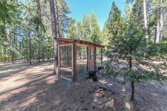 20175 Pine Dr, Pioneer, CA 95666