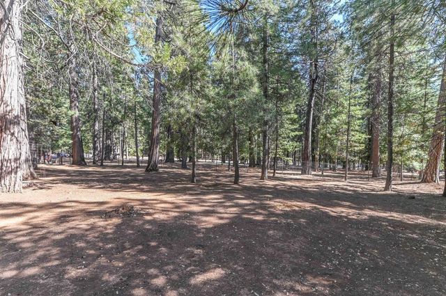 20175 Pine Dr, Pioneer, CA 95666